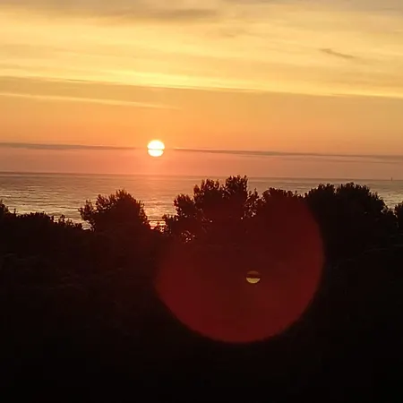 Playadeivo * Pineto